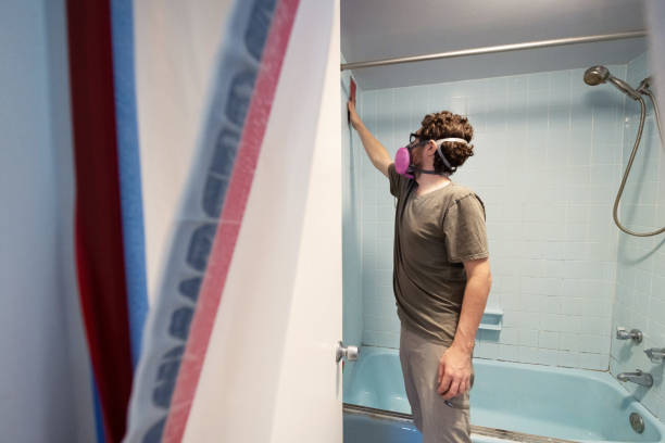 Dehumidification Services in Kahoka, MO